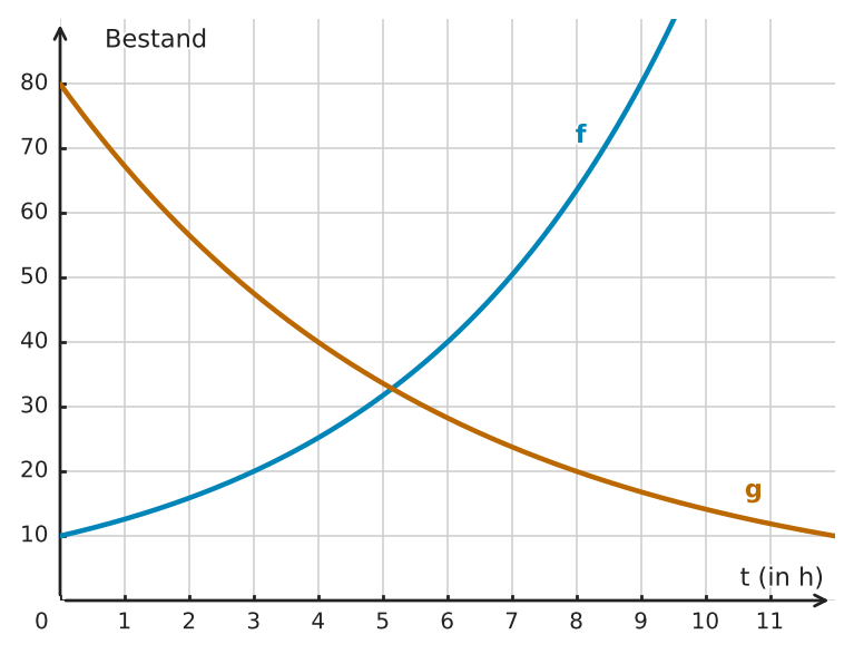 Abbildung zur Aufgabe 432626