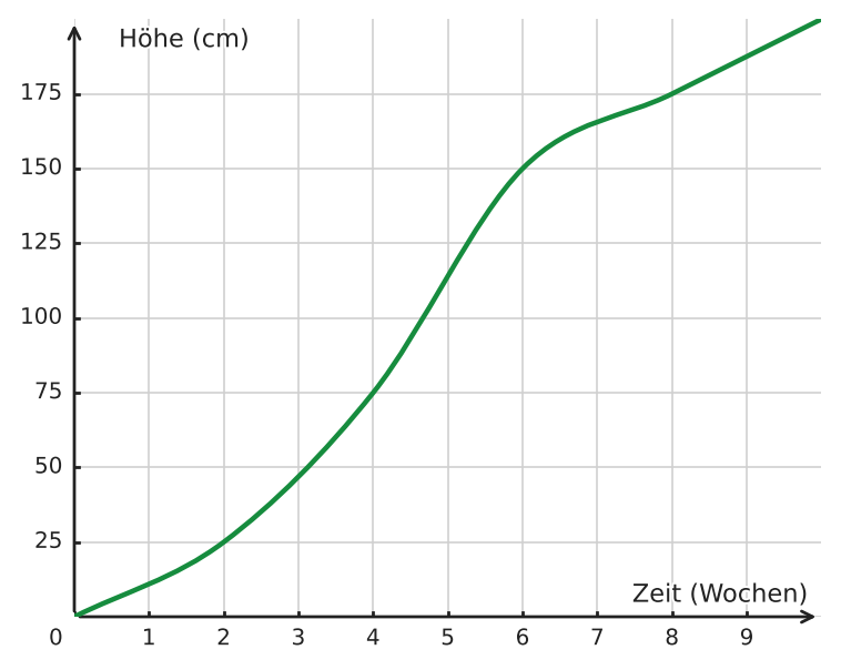 Abbildung zur Aufgabe 434904