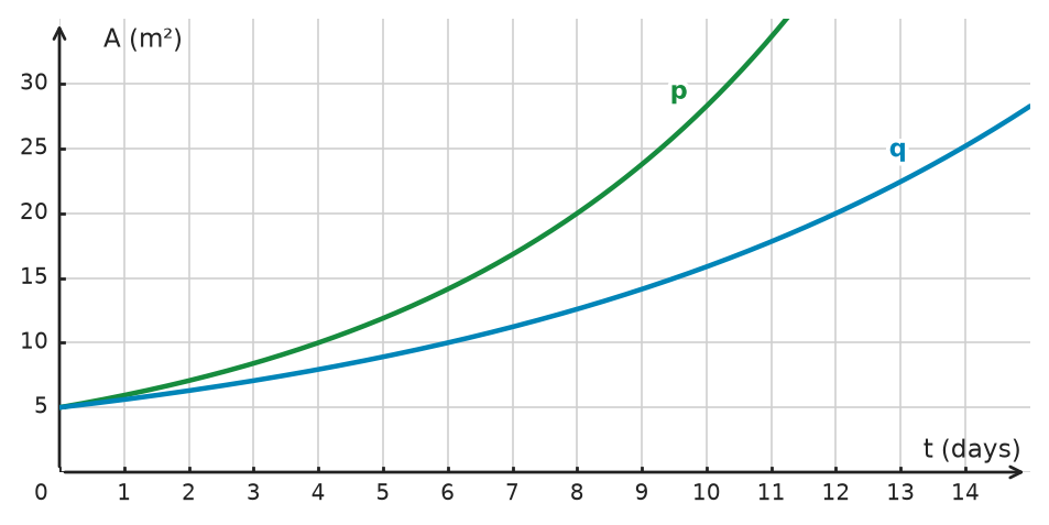 Figure for problem 534492